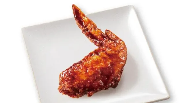 秘伝のタレ手羽先から揚げ（から好し）